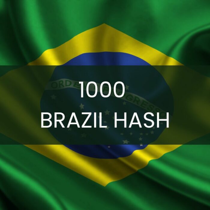 1000 Brazil Hash Business