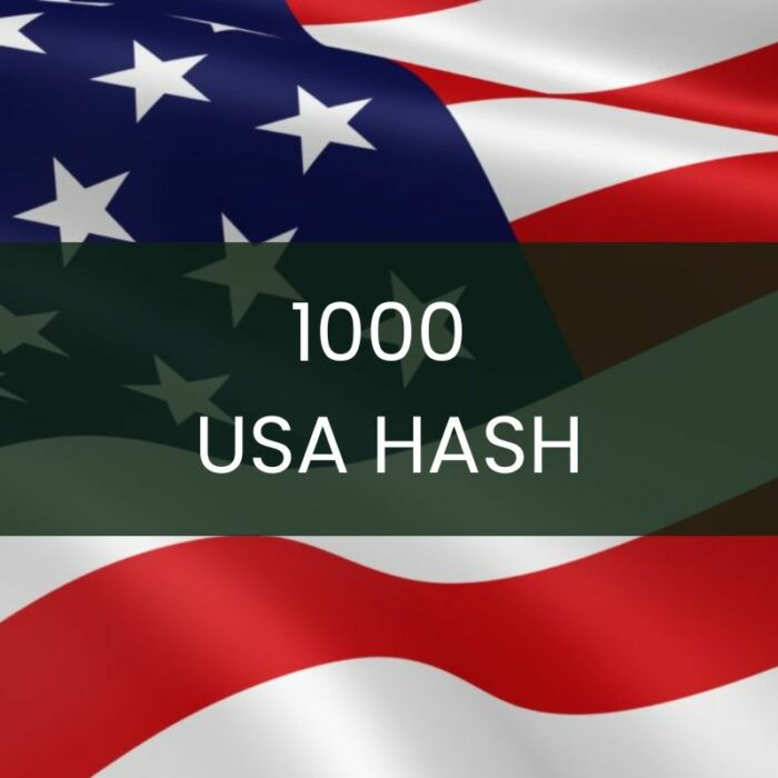 1000 USA WhatsApp Business Hash Channels