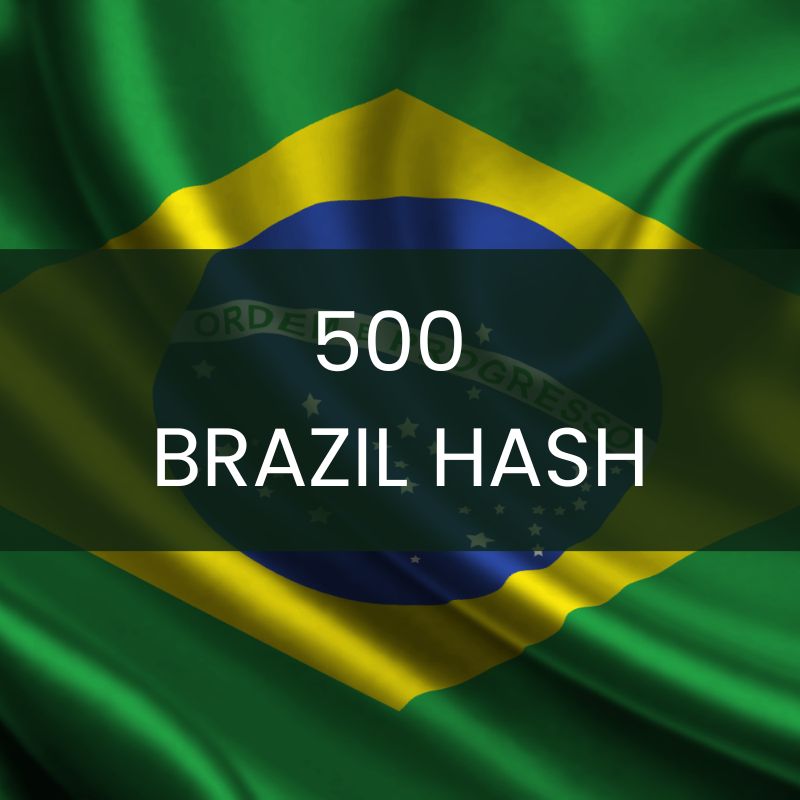 500 Brazil Hash Business