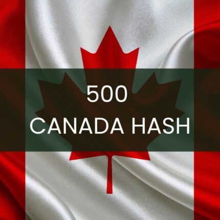 500 Canada WhatsApp Business Hash Channels