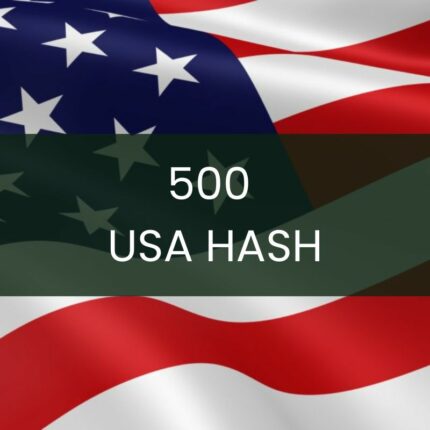 500 USA WhatsApp Business Hash Channels