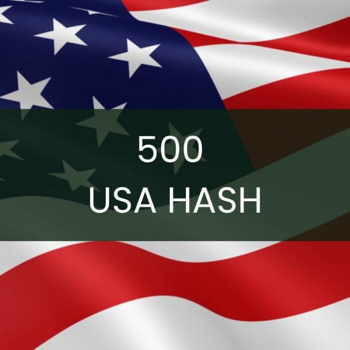 500 USA WhatsApp Business Hash Channels